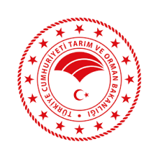 Kurum Logosu 9 